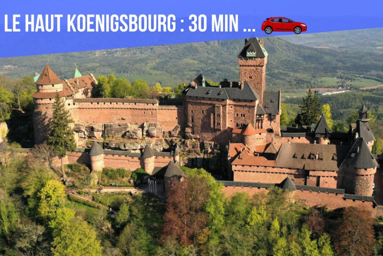 Le Red St Leon : Lit Queen Size * Wifi * Ideal Couple Колмар Екстериор снимка